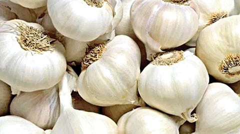 கோப்புப் படம்