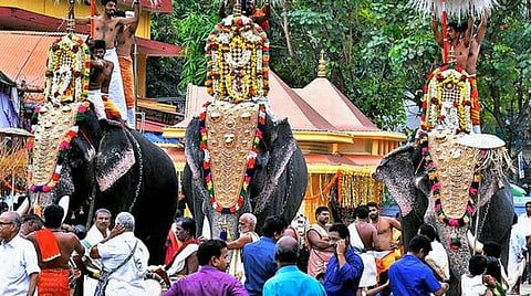 கோயில் யானைகளுக்கு மறுக்கப்படும் இனவிருத்தி உரிமை; விலங்கின ஆர்வலர்கள், யானைப் பாகன்கள் குற்றச்சாட்டு