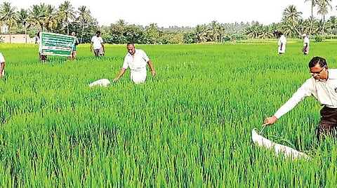இயற்கை முறையில் பூச்சிகளைக் கட்டுப்படுத்தும் பண்ணைப் பள்ளி