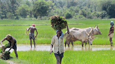 பிரதிநிதித்துவப்படம்