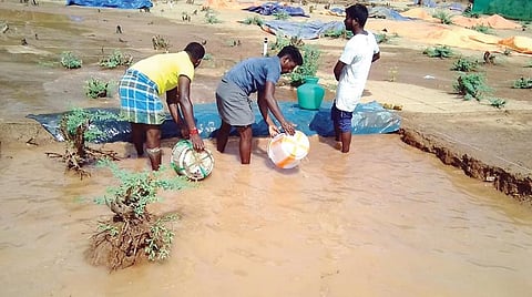 கீழடியில் 5-ம் கட்ட அகழாய்வுக்காக தோண்டப்பட்ட குழிகளில் தேங்கிய மழை நீரை வெளியேற்றும் தொழிலாளர்கள்.