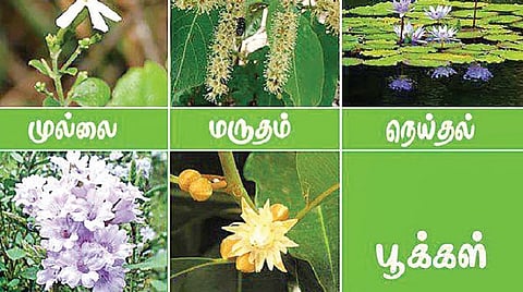 இந்தப் பாடம் இனிக்கும் 08: தாவரங்கள் இன்றி வாழ்க்கை இல்லை