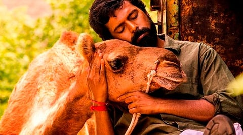 முதல் பார்வை: பக்ரீத்