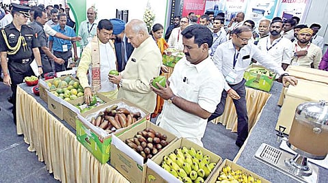 உணவு பதப்படுத்துதல் குறித்த சர்வதேச கண்காட்சி மற்றும் கருத்தரங்கை ஆளுநர் பன்வாரிலால் புரோஹித் தொடங்கிவைத்து பார்வையிட்டார். (உடன்) தமிழக உணவுத் துறை அமைச்சர் ஆர்.காமராஜ்.
