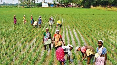 விவசாய நிலத்தை வாங்கப் போகிறீர்களா?