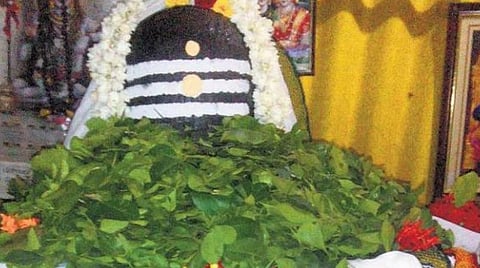 அட... வில்வத்தில் இவ்வளவு மகிமையா?