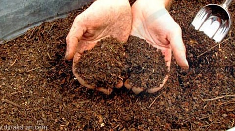 போன் செய்தால் மலிவு விலையில் இயற்கை உரம் வீடு தேடி வரும்: சென்னை மாநகராட்சி ஆணையர் தகவல்