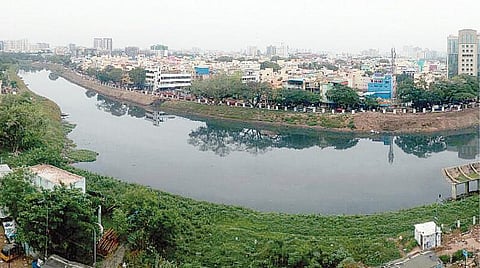 அரசின் பல்வேறு துறைகள் மேற்கொண்ட நடவடிக்கைகளால் ஆக்கிரமிப்புகள், குப்பைக் கழிவுகள் அகற்றிய நிலையில் புதுப்பொலிவு பெற்ற சென்னை புதுப்பேட்டை பகுதியை சுற்றி பாயும் கூவம் ஆறு