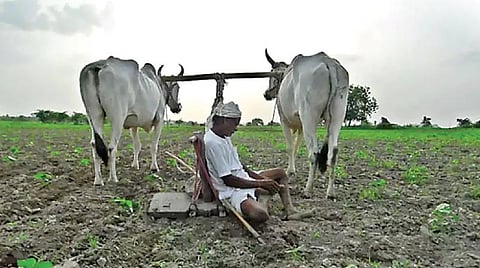 விதை முதல் விளைச்சல் வரை 04: வேளாண்மைக்கு உதவும் அரசுத் திட்டங்கள்
