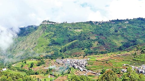 கொடைக்கானல் மலை கிராமங்களில் போலி பட்டா மூலம் ஆயிரக்கணக்கான ஏக்கர் அரசு நிலங்கள் ஆக்கிரமிப்பு: மீட்கும் நடவடிக்கையில் களமிறங்கியுள்ள வருவாய்த்துறை அதிகாரிகள்