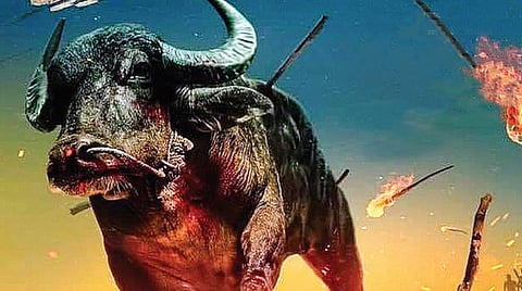 திரைப் பார்வை: ஜல்லிக்கெட்டு (மலையாளம்) - நினைவில் காடுள்ள மிருகங்களின் கதை