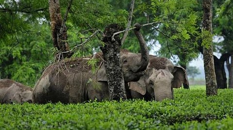 கோப்புப் படம்