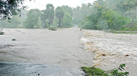 கோபி அருகே நேற்று அதிகாலையில் தொடங்கி ஐந்து மணி நேரம் பெய்த கனமழையால், வேதபாறை ஓடையில் வெள்ளப்பெருக்கு ஏற்பட்டு, கொண்டையன் பாளையம் தரைப்பாலம் மூழ்கியது.