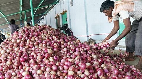 சாகுபடி பரப்பு குறைந்ததால் விலையேற்றம்: வெங்காயத்தை இறக்குமதி செய்ய நடவடிக்கை