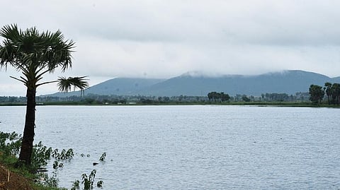 தொடர் மழை காரணமாக ஸ்ரீவைகுண்டம் அருகே பேட்மாநகரம் குளம் பெருகியுள்ளது. படம்: என்.ராஜேஷ்.