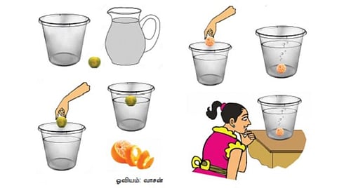 அறிவியல் மேஜிக்: தண்ணீரில் ஆரஞ்சு மிதக்குமா?