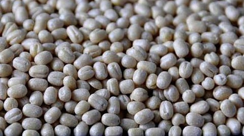 உளுந்து கிலோ ரூ.100-ஐ தாண்டியது