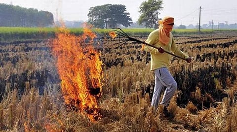 உ.பி.யில் வைக்கோலை எரித்து சுற்றுச்சூழலை மாசுபடுத்தியதாக 20 விவசாயிகளுக்கு சிறை