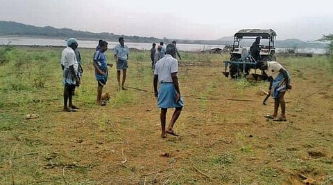 கடையநல்லூர் அருகே குளத்தை ஆக்கிரமித்து விவசாயம்: 11 ஏக்கர் நிலம் மீட்பு