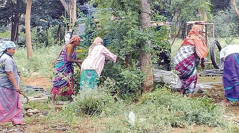 யானைகள் முகாம் நடைபெறும் பகுதியில் சீரமைப்புப் பணியில் ஈடுபட்டுள்ள தொழிலாளர்கள்.