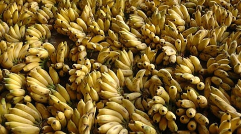 கோப்புப்படம்