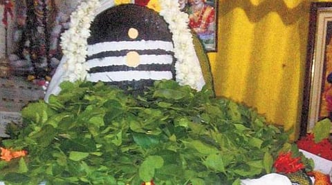 கார்த்திகை சோம வாரம்; பிரதோஷ விசேஷம்