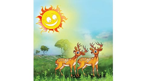 கதை: சூரியன் கொடுத்த பரிசு!
