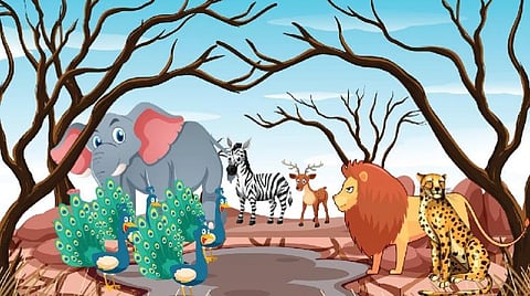 கதை: மழை எப்படி வரும்?