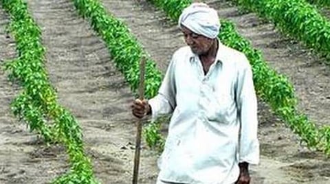 பிரதிநிதித்துவப் படம்.