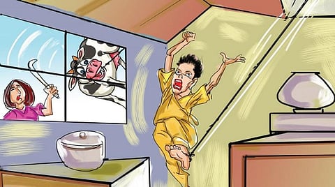 நார்வே நாட்டுக் கதை: யார் வேலை கடினம்?