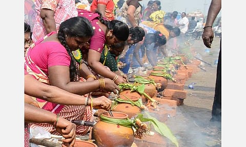 சூரியப் பொங்கல்... பொங்கலோ பொங்கல்!