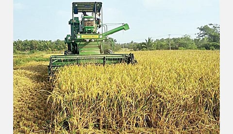 புதுக்கோட்டை மாவட்டம் பனசக்காடு கிராமத்தில் இயந்திரத்தின் உதவியுடன் மேற்கொள்ளப்படும் நெல் அறுவடைப் பணி.