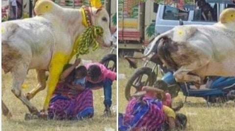 சிராவயல் மஞ்சுவிரட்டில் மக்கள் மனதை வென்ற காளை: சமூக வலைதளங்களில் வைரலாகும் வீடியோ