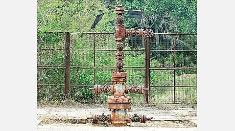 எதைச் சாப்பிடப் போகிறோம்: உணவா, ஹைட்ரோகார்பனா?