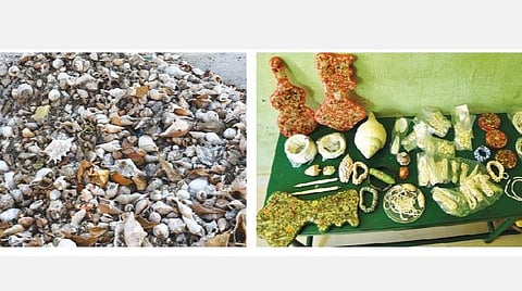 முகங்கள்: கடல் பொருட்களில் கலைநயம்