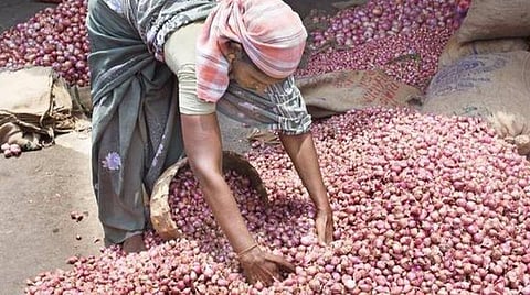 சின்ன வெங்காயம் விலை நிலையாக இருக்கும்: வேளாண்மை பல்கலை. கணிப்பு