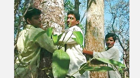 பசுமை எனது வாழ்வுரிமை 17: தென்னிந்தியாவின் அப்பிக்கோ இயக்கம்!