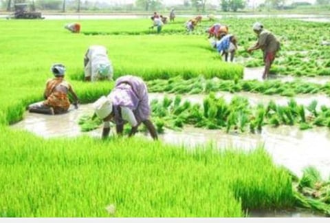 கோப்புப்படம்