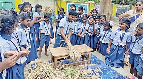 காரைக்கால் மாவட்டம் பண்டாரவாடை அரசுத் தொடக்கப் பள்ளியில் நேற்று நடைபெற்ற நெல் அறுவடை பணிக்குப் பின்னர் ஆர்வத்தோடு கதிரடிக்கும் மாணவ, மாணவிகள்.