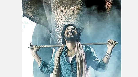 அநாதைகளாக்கப்படும் யானைகளுக்காக ஒரு படம்!- ‘காடன்’ இயக்குநர் பிரபுசாலமனுடன் நேர்காணல்