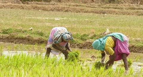 பிரதிநிதித்துவப் படம்