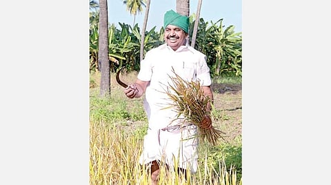 கடந்த பொங்கல் பண்டிகையன்று எடப்பாடி அருகே உள்ள தனது சொந்த ஊரான சிலுவம்பாளையத்தில் நெற்கதிர்களை அறுவடை செய்த முதல்வர்.