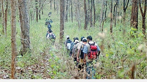 மொழிபெயர்ப்பு: உடல்-மன ஆரோக்கியத்துக்கு நல்லது வாரம் ஒரு முறை இயற்கை சுற்றுலா