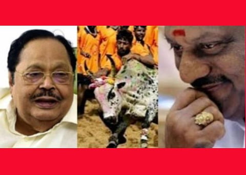 ஓபிஎஸ் ஜல்லிக்கட்டு நாயகனா?எங்கு மாடு பிடித்தார்? பேரவையில் துரைமுருகன் - விஜயபாஸ்கர் இடையே சுவாரஸ்ய விவாதம்