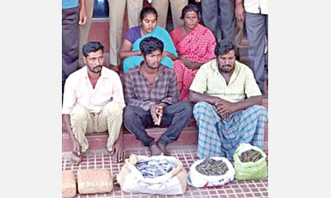 கைது செய்யப்பட்ட 5 கஞ்சா வியாபாரிகள்.