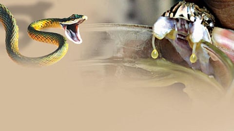 பாம்புக் கடி சிகிச்சையில் புதிய அணுகுமுறை தேவை!