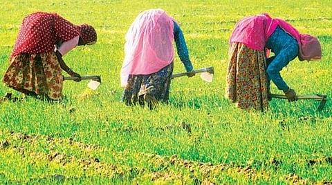 வேளாண் மண்டலத்தில் புதிய திட்டங்களுக்கு அனுமதி இல்லை