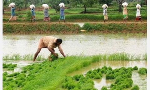 குறைகள் இருந்தாலும் வேளாண் மண்டல சட்டம் வரவேற்கத்தக்கது- காவிரி டெல்டா பகுதி விவசாய சங்கங்கள் கருத்து
