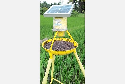 விதை முதல் விளைச்சல் வரை 23: பயிர் பாதுகாப்பில் உயிரியல் காரணிகளின் பங்கு