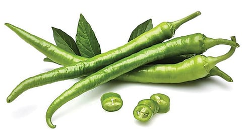 மிளகாய்க்கு அதிக விலை கிடைக்கும்!